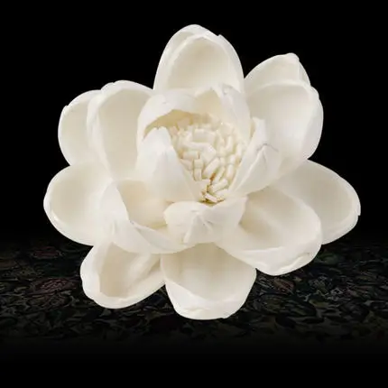 Hot selling sola flowers/rattan stick/wooden stick reed diffuser accessories from Guangzhou truescent