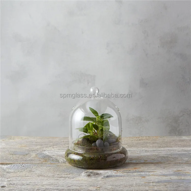 garden dome cloche terrarium glass vase for plants