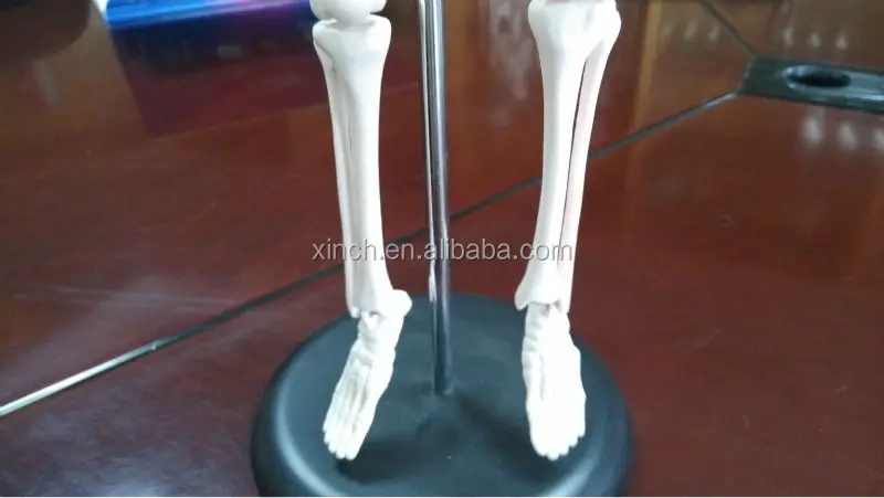 Маленькая липкая игрушка-скелет