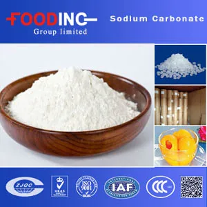 
sodium carbonate soda ash raw material plant 