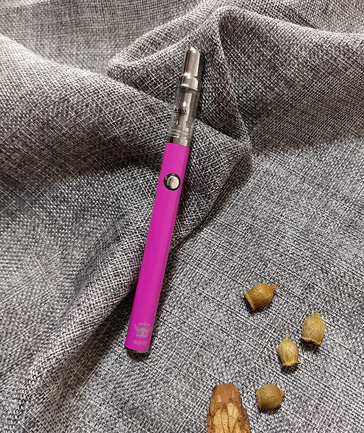 Бесплатная Vape ручка стартовый набор образец BUD-B6 + V6