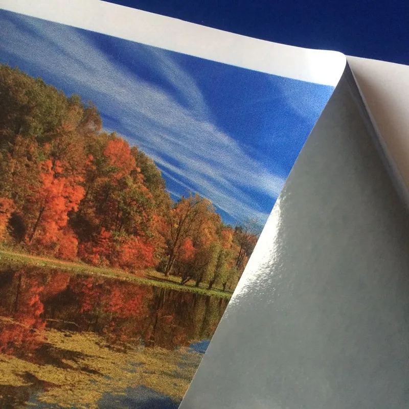 Cheap Price 120G and 140G and160G Glossy Matt White Printable Self Adhesive Vinyl Roll