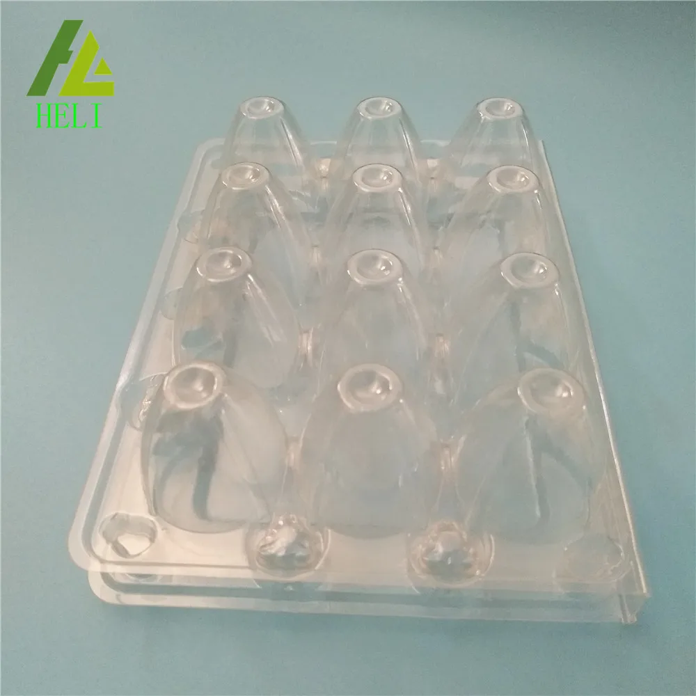 jumbo quail egg cartons 12 quail eggs box