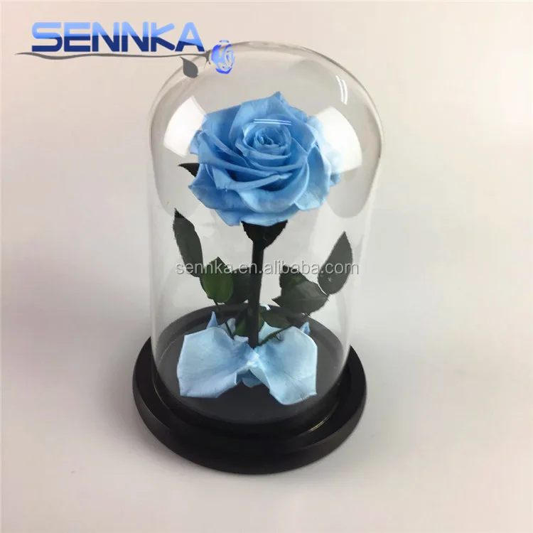 Yunnan Wholesale Preserved Rose in Glass Dome for Home Decoration