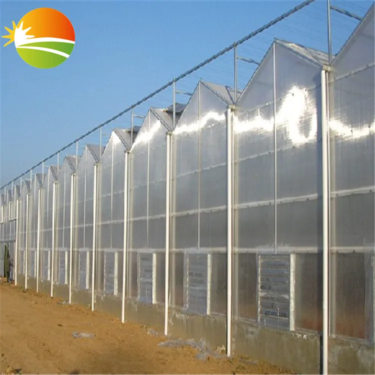 UV Polycarbonate PC sheet Hot-Galvanizing pipe Multi-Span Greenhouse