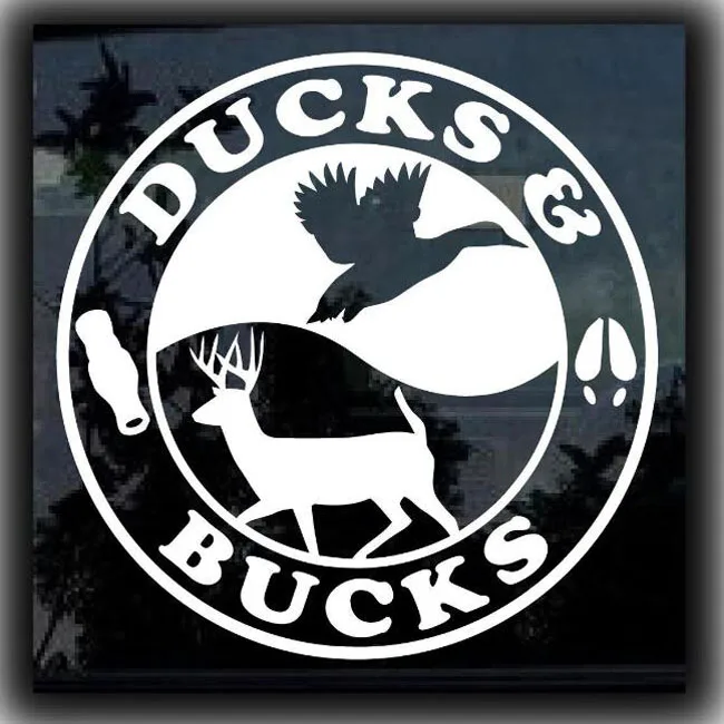 
Waterproof Different Style Car PVC Vinyl Stickers And Decals Design 