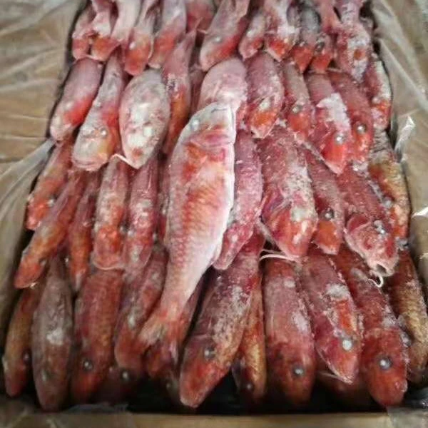 Замороженный красный Многоцветный Круглый