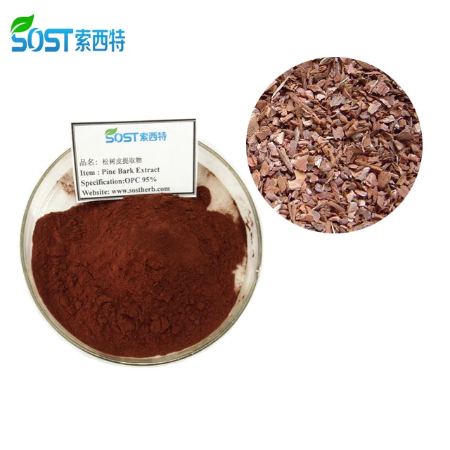 
Herbal Medicine Pinus Maritima/Pinus Pinaster/French Maritime Pine Proanthocyanidins 95% Pine Bark Powder 