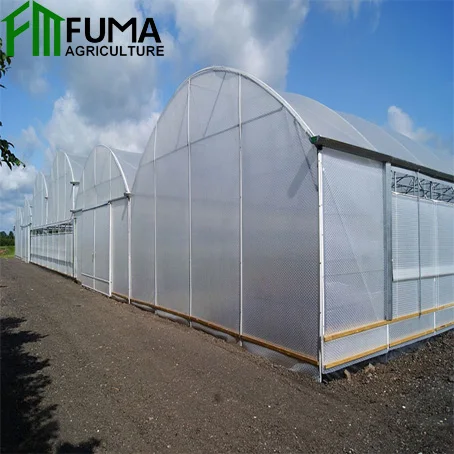 FM полная пластиковая пленка, тепличная структура для сельского хозяйства