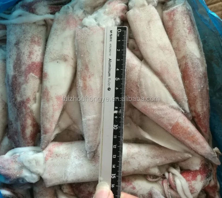 new frozen block Chinese loligo squid Whole round 8-13cm,13-18cm,18-22cm