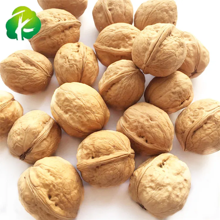 
High quality Best Price Oganic Walnuts with Thin Shell 