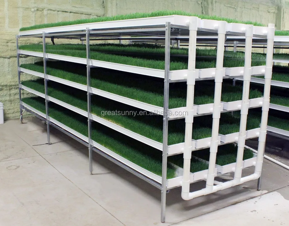 Hydroponic plant machinery, alfalfa, barley grass, cattle and sheep feed plant equipment