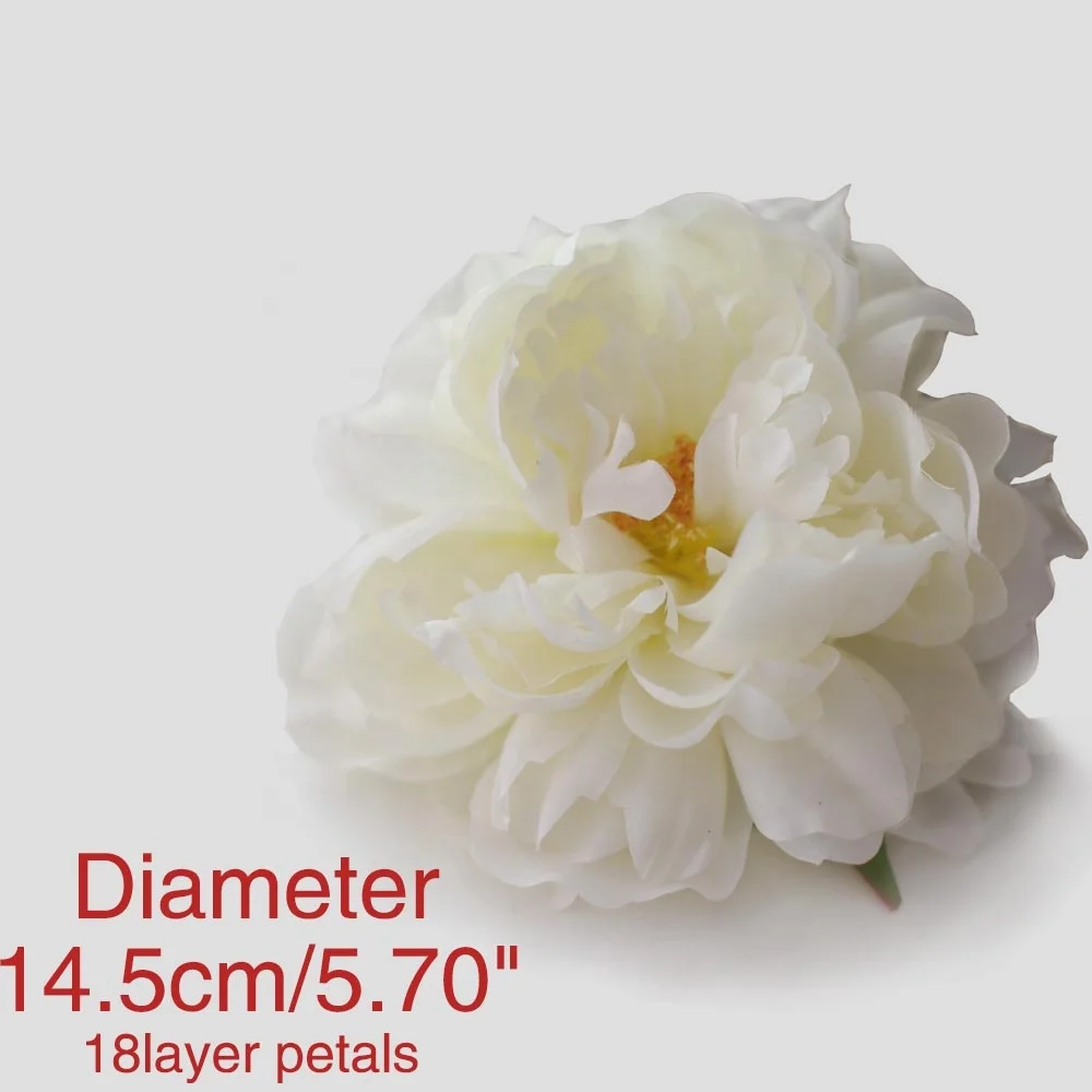 Flower head of   blooming peony