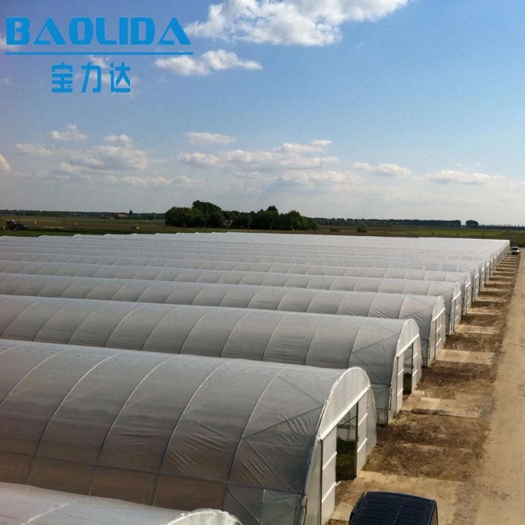 Polytunnel Garden High Quality Plastic  Greenhouse For Agriculture