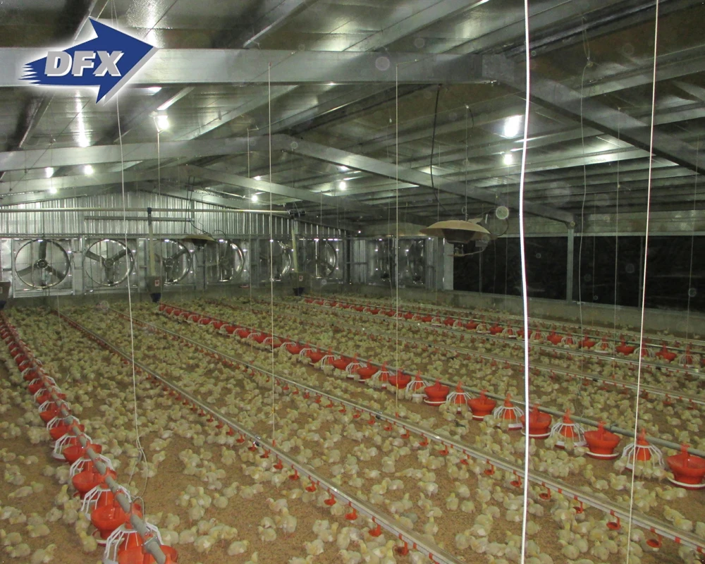  Гостиничное использование и стальной материал Птичий дом для 10000 кур