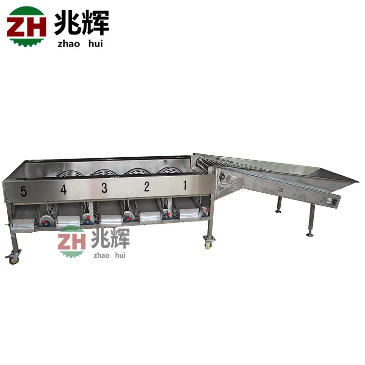 
Efficient vegetable and fruit sorting machine/tomato fruit grader grader /baby carrot machine 