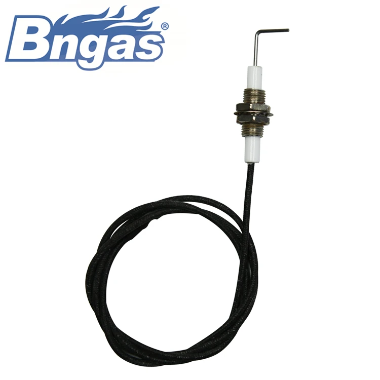 Gas water heater ignition electrode flame sensor electrodes