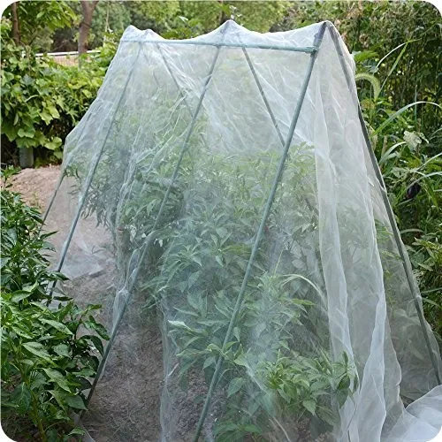 Green plastic coated plant support stakes