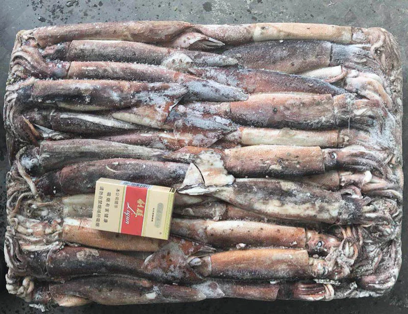 Замороженный кальмар Todarodes Pacificus