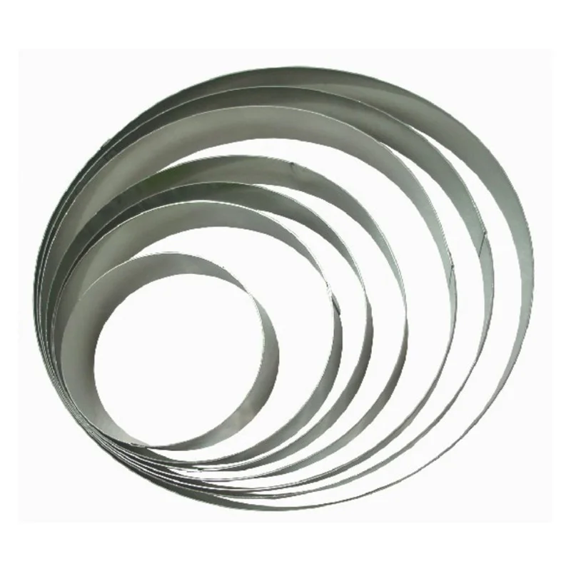 Round Cake Ring Mold, Stainless Steel for Cooking, Baking, Salads, Cakes and Desserts and Food Stacking