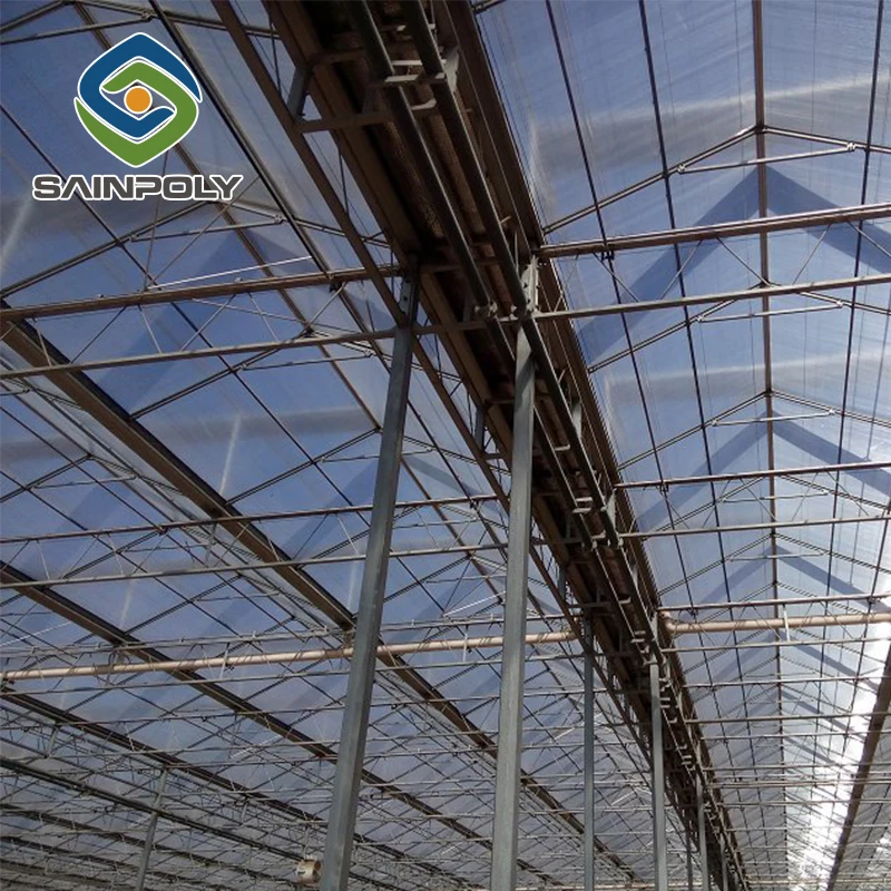 Сельскохозяйственная многопролетная стеклянная теплица для томатов на продажу