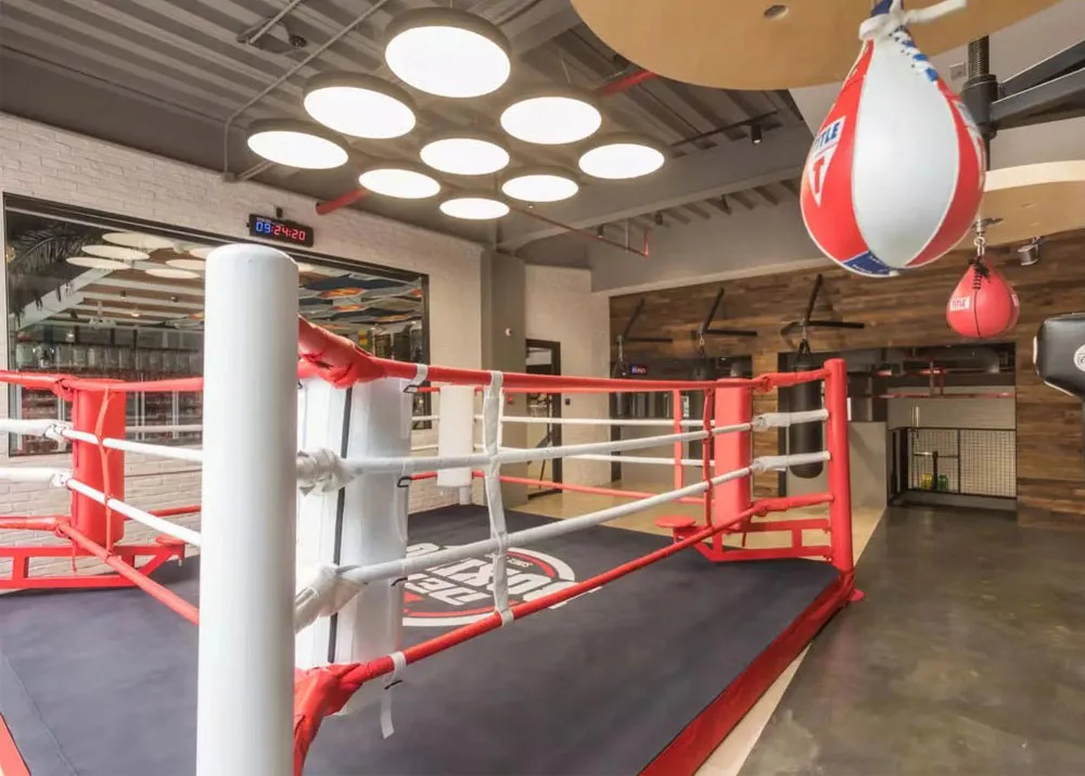Custom Design Wholesale Martial Arts 6m*6m MMA Boxing Ring