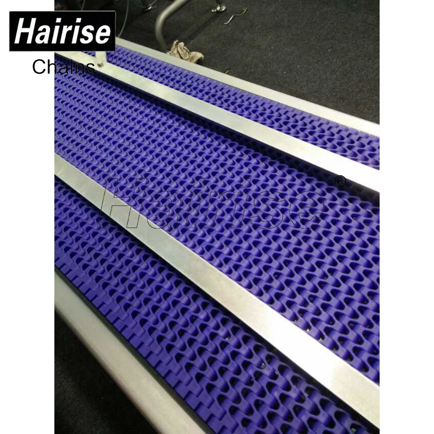 Hanging Slat Price Chain Conveyor, Baggage Airport Conveyor