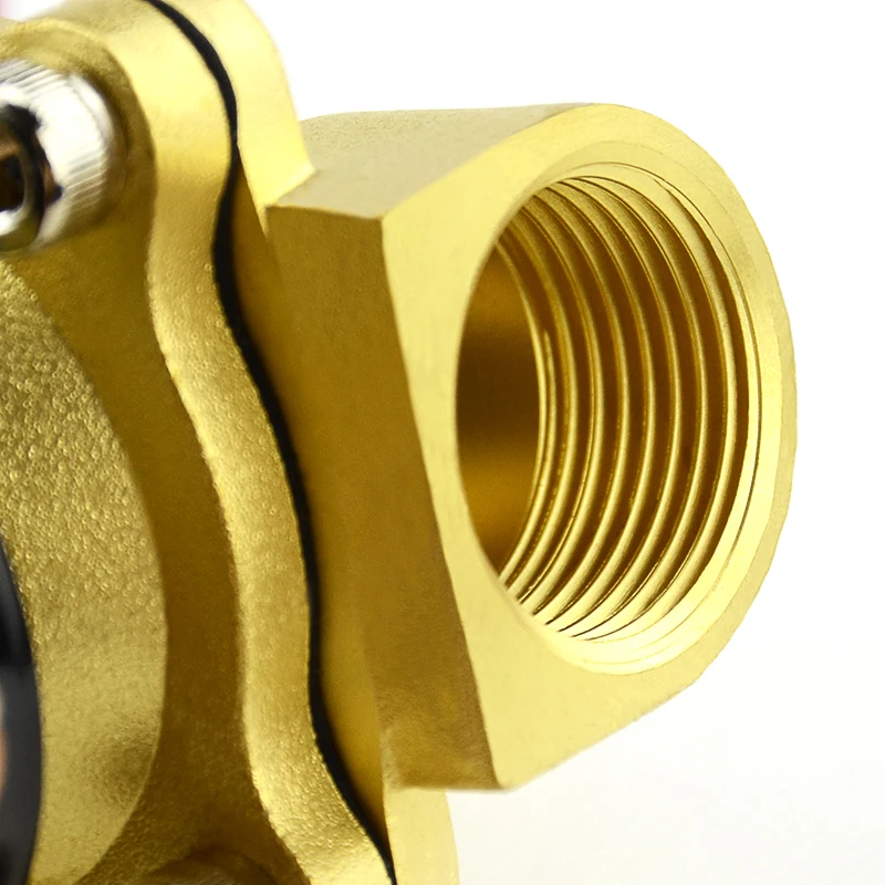 2W Series 2 Position 2 Way AC220V Brass Solenoid Valve 2W200-20