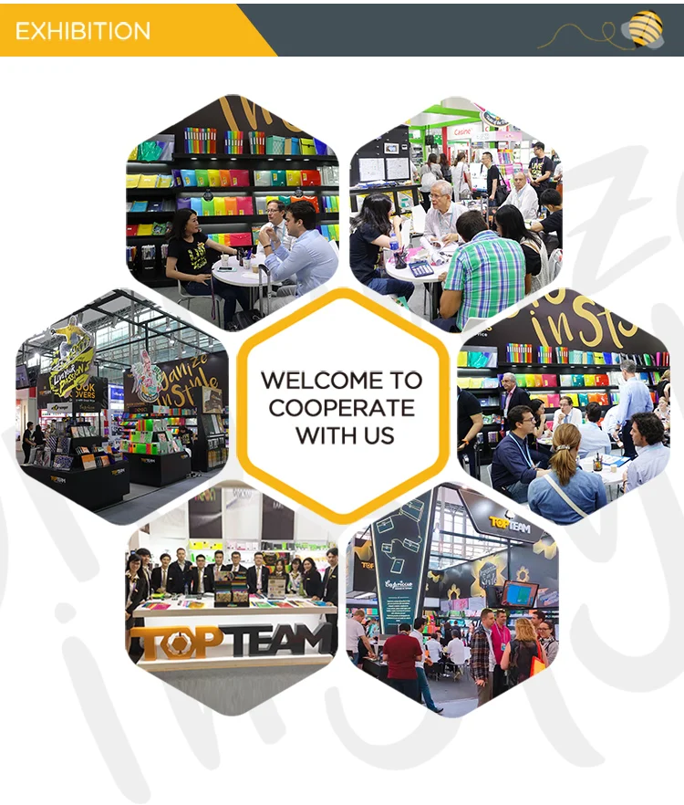 Customized Clear Pockets File A4 Size PP Plastic Display Book File Folder