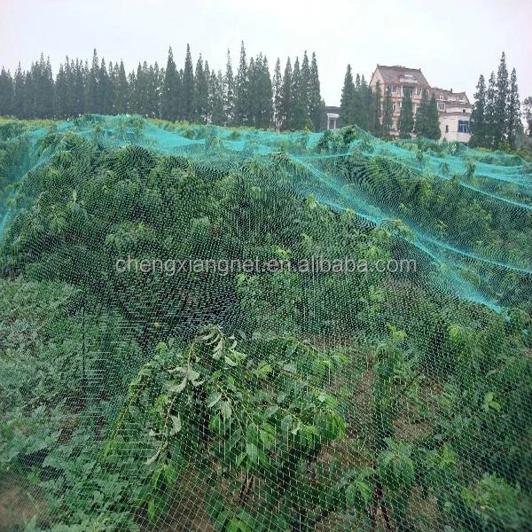 
Fruit Tree Anti Bird Net 