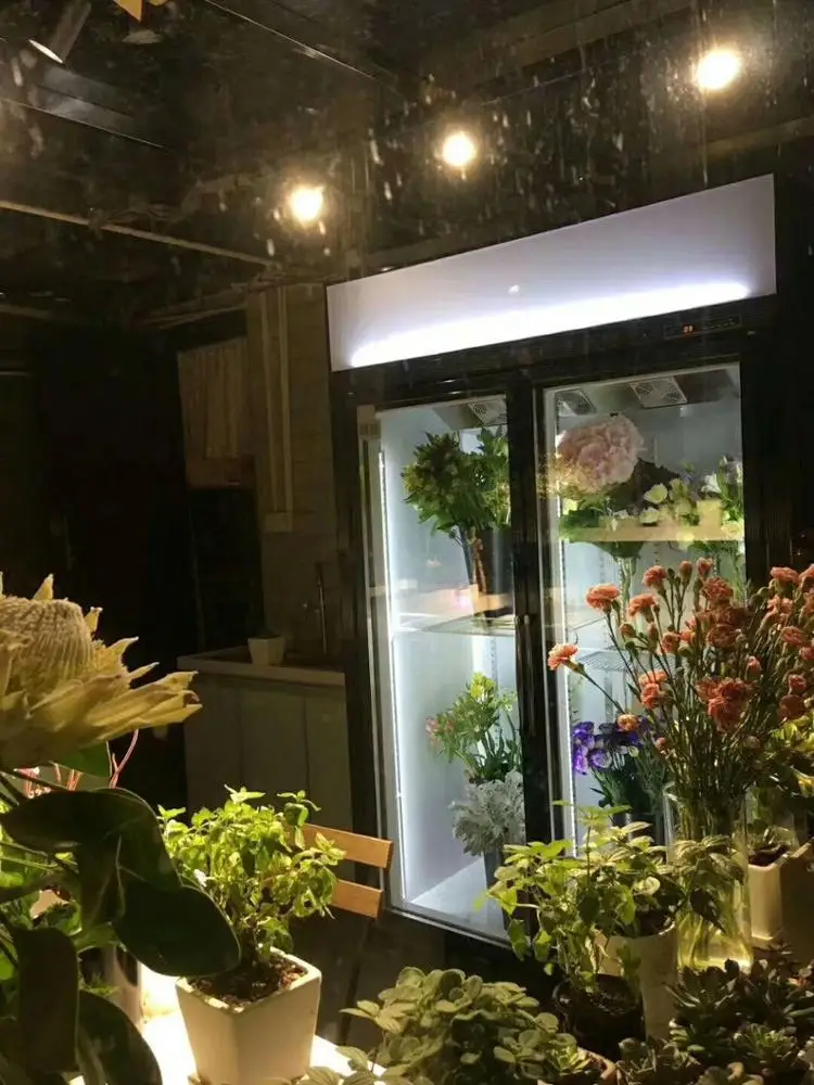 Commercial 4 Glass Door Display Refrigerator for Flower Shop