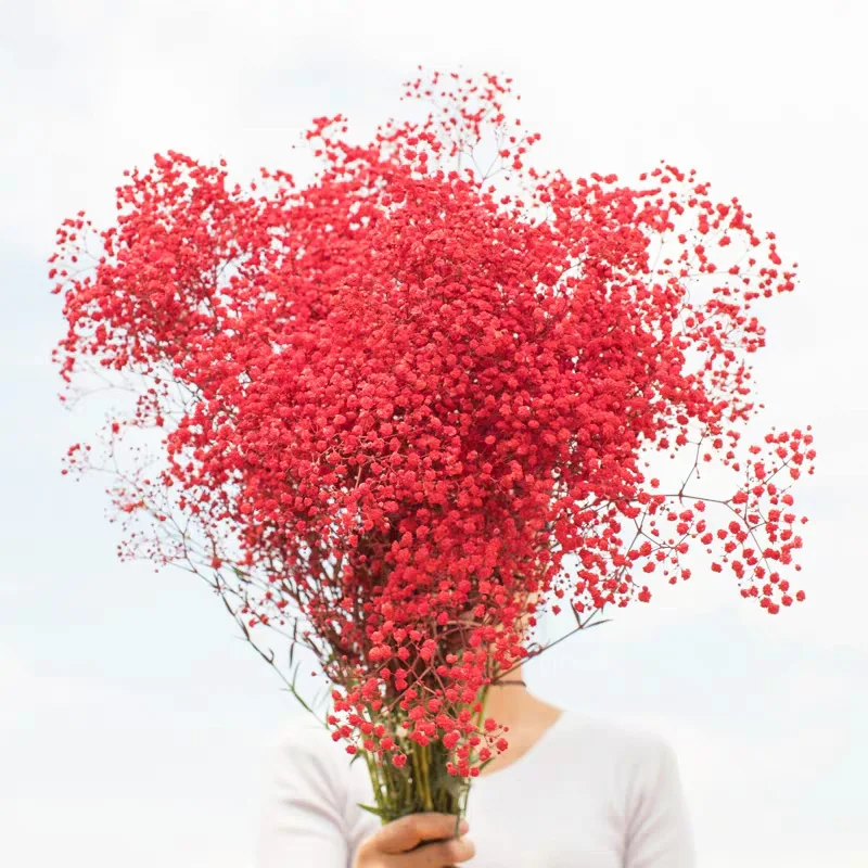 200g/pack Wedding home hotel decoration potpourri dried flowers dry mini gypsophila babysbreath flowers dried gypsophila