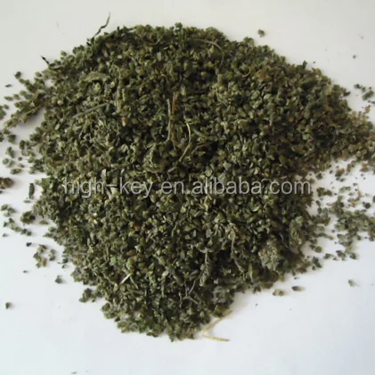 
2153 qian ma zi Xinjiang origin Urtica cannabina seeds 