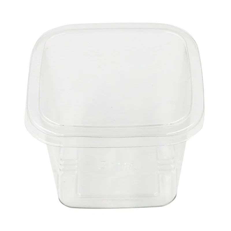 Good Sale Clear Plastic Fruit Biscuit Bakery Box Container