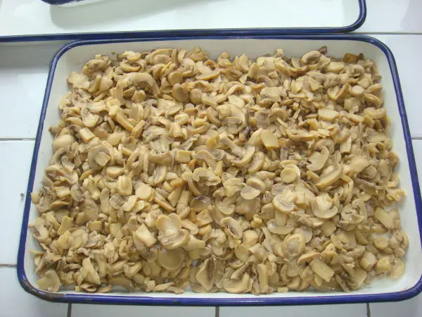 canned fresh button mushroom price