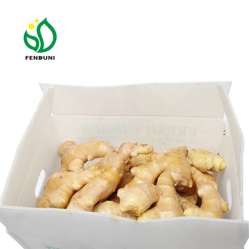 
Fresh Ginger 