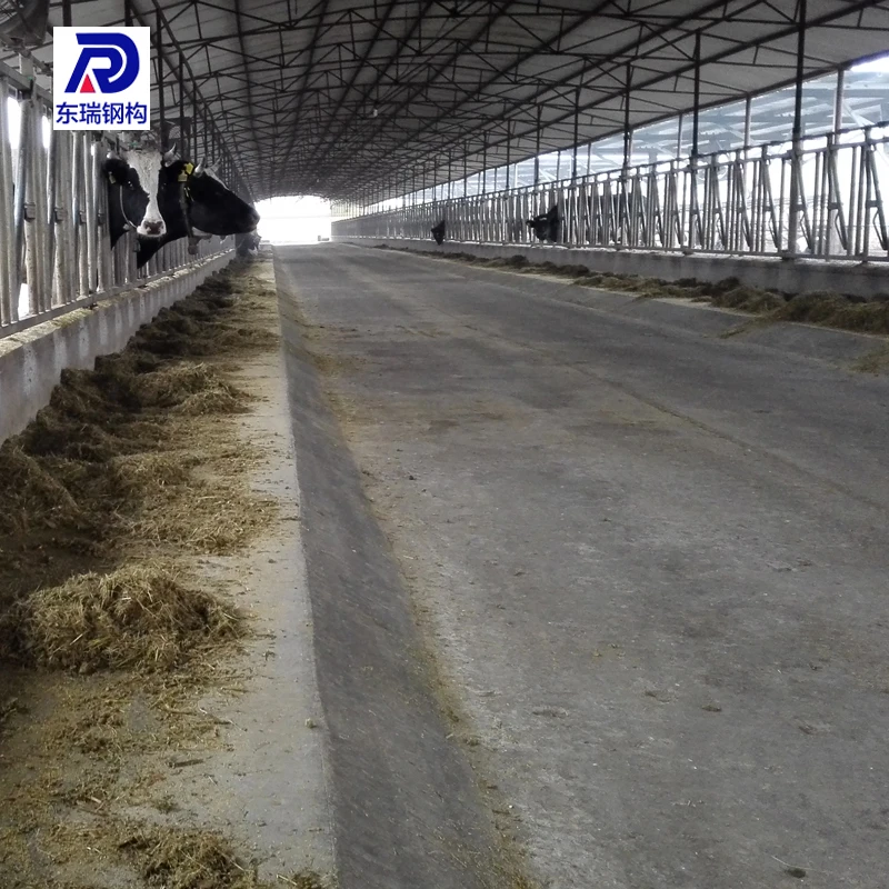 Cheap Prefab Steel Structure Dairy Cow Farm House Building Cow Farm Shed