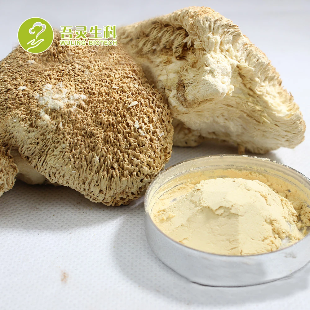 Травяной Растительный Экстракт, порошок, гриб Львиная Грива, трава