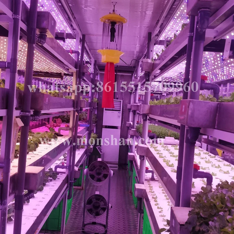 40 Foot Hydroponic Container farm For Microgreen