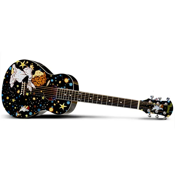 Professional Black Custom  Acoustic Guitars