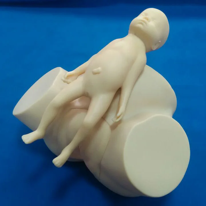 Nursing Training Made In China Midwifery Skills Birth Teaching Model Pregnant Women Simulator