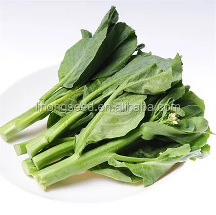 Сертификат ISO китайские капуста семена на экспорт