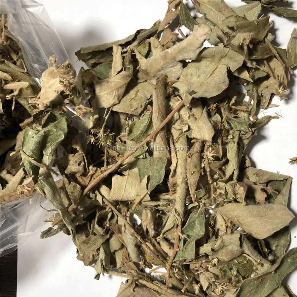 
5046 Yang er ju Hot Selling Natural Herbs Dried Leaves Inula Cappa 