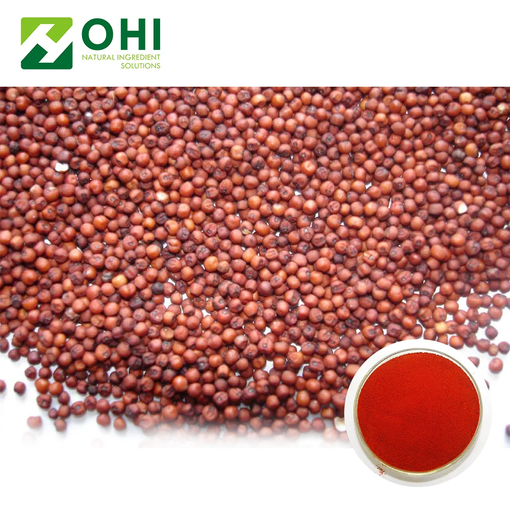 grain Sorghum seed Extract