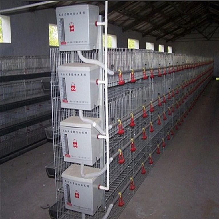 Efficient and durable chicken cage