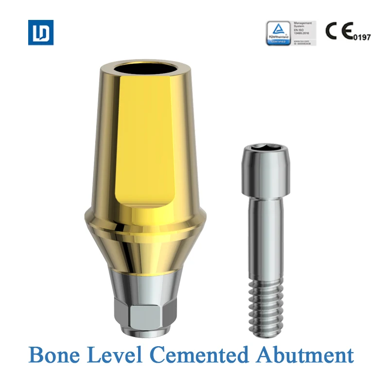 Dental Implant Cemented abutment straight abutment compatible for osstem Dentium