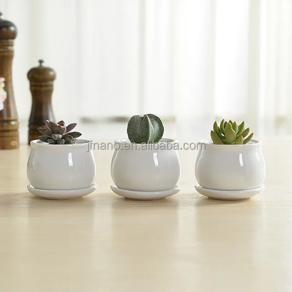 Modern Indoor Decor Small White Ceramic Flower Pot for Home, Garden Used with Flower/green Plant Round Glazed Not Support 144pcs