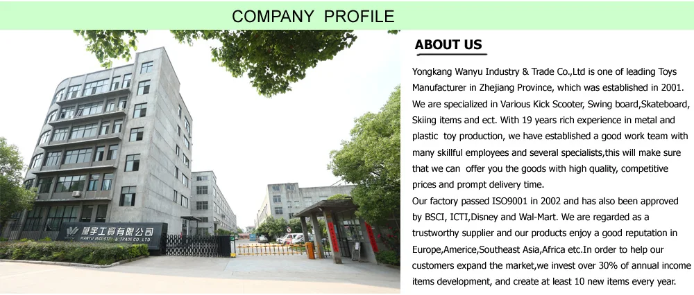COMPANYH PROFILE