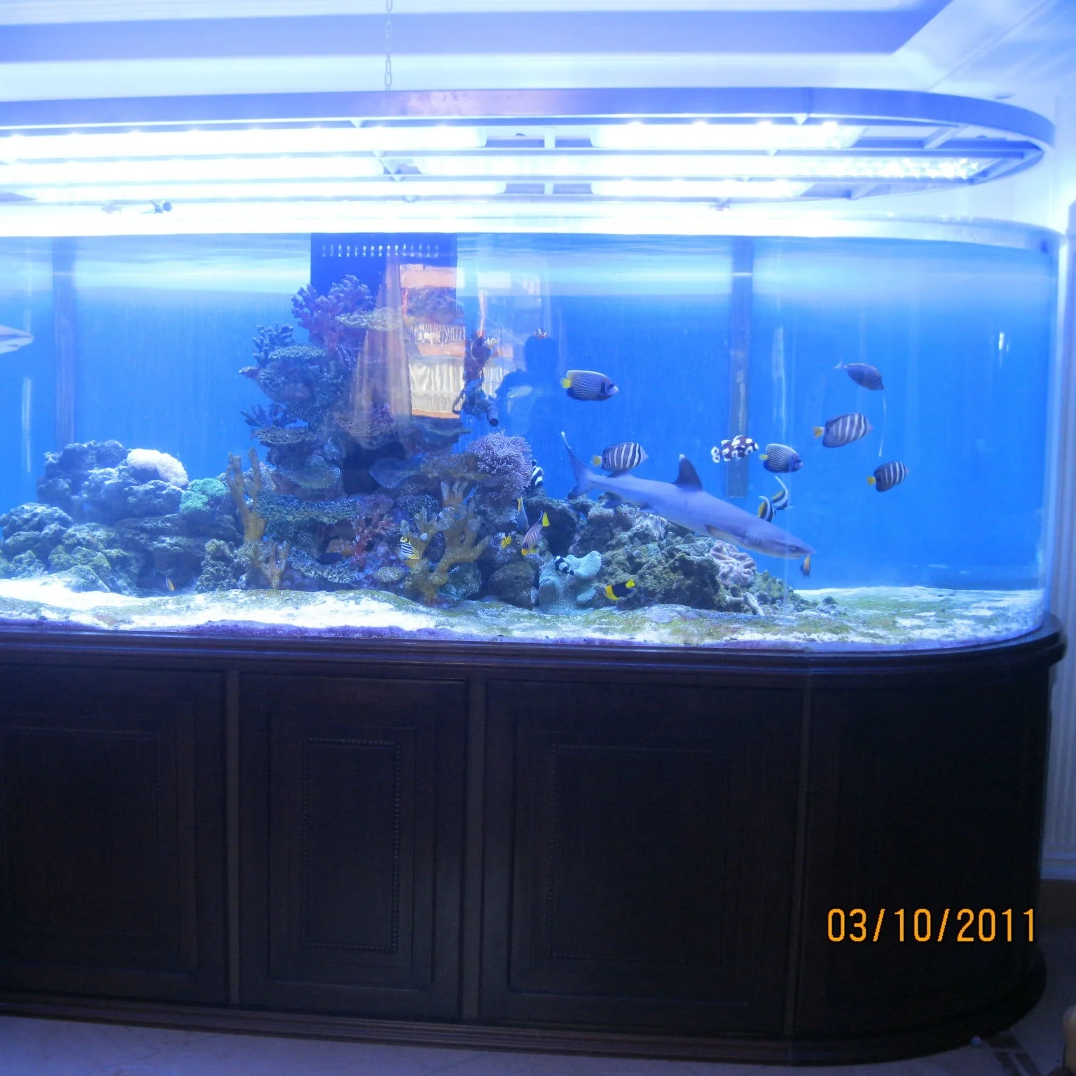 hot popular plexi glass round acrylic sheets aquarium fish tank