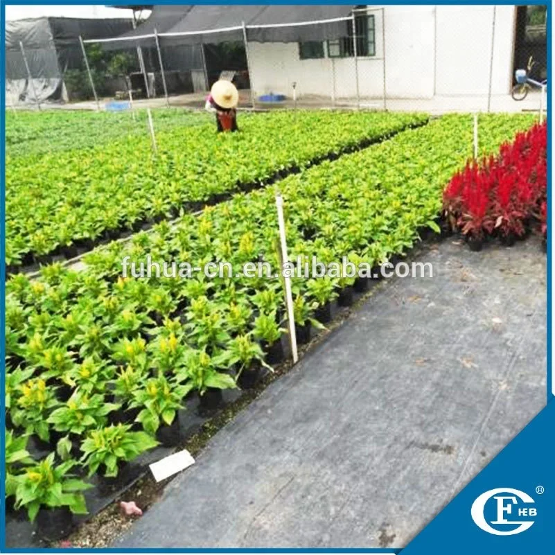 
buying in large quantity greenhouse weed mat plastic grommets for malaysia australia 